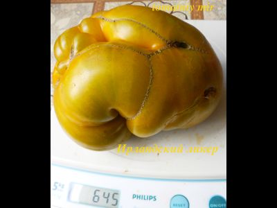 Томат Ирландский ликер