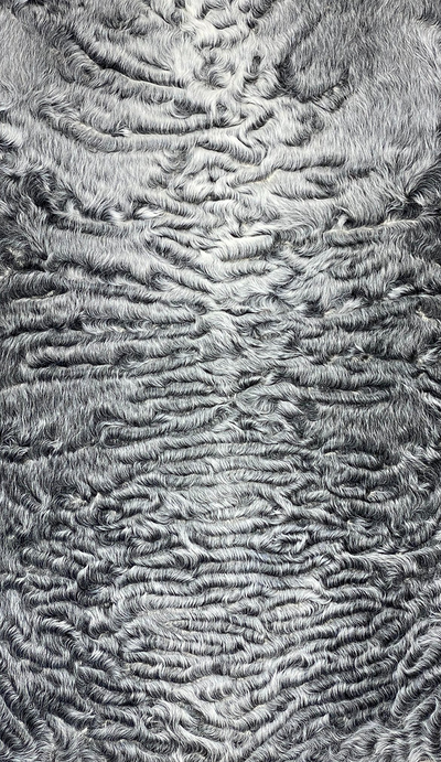 Каракуль Серый Отборный