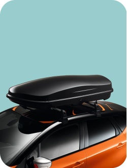 БАГАЖНЫЕ СИСТЕМЫ