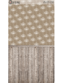 Фотофон «Кохаб»