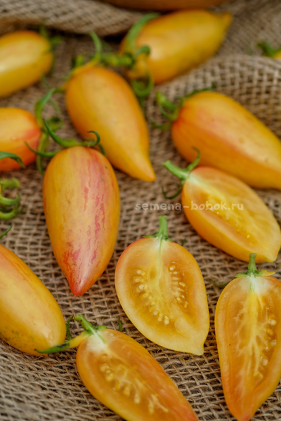 Томат Sweet Cream (Сладкий Крем), 10 шт