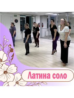 Латина соло