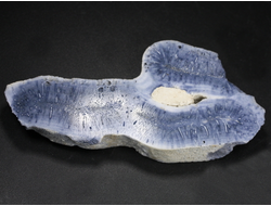 Коралл голубой Акори, Австралия (86*41*11 мм, 45 г) №37708