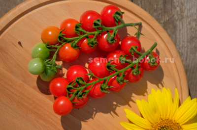 Томат Черри Кубелло, 10 шт