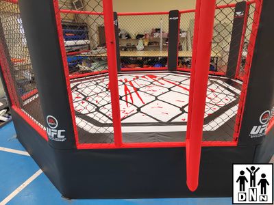 Восьмиугольный ринг (Октагон) на помосте (диаметр 6 м, высота помоста 1 м) DNN