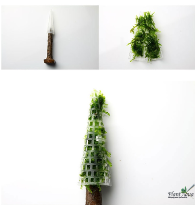 Декорация для мха Christmas Tree (дерево)