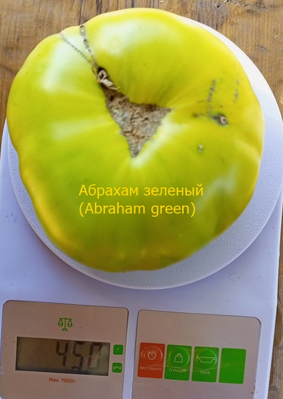 Томат Абрахам зеленый, (Abraham Green), США