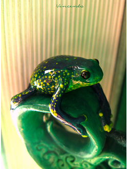 Подвеска "Тропическая лягушка"