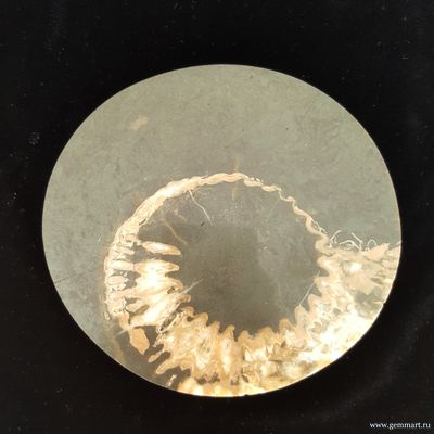 Аммонит, кальцит, полированный с 2-х сторон спил. Россия.