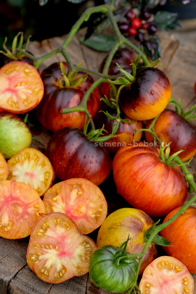 Томат Strangelove (Странная Любовь), 10 шт