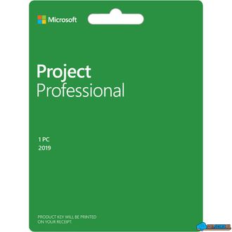 Project профессиональный 2019 ( H30-05756 , бессрочная электронная лицензия )