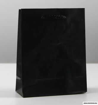 Пакет ламинированный «Чёрный» 18 х 23 х 8 см