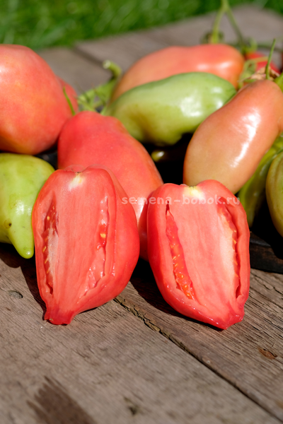 Томат Брикодейки Минусинские, 10 шт