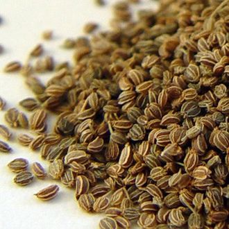 Сельдерей (Apium graveolens) семена 5 мл - 100% натуральное эфирное масло