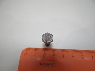 Болт М 6 (для мопедов Рига)