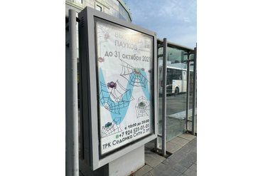 Владивосток 2021