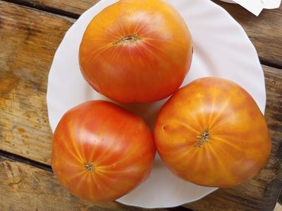 Томат Желтый полосатый Кармеллы (Carmella’s Yellow Stripes)