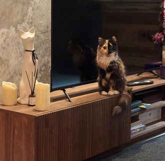 Кошка из бетона h43