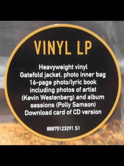 DAVID GILMOUR Rattle that lock LP