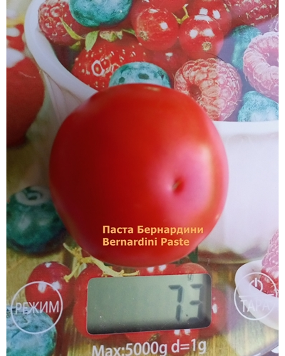 Томат Паста Бернардини (Pasta Bernardini)