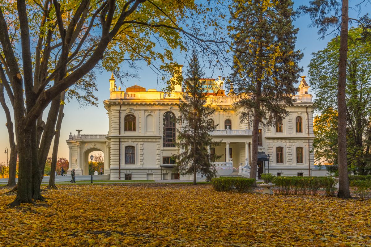 Усадьба тамбов. Дворец Асеева Тамбов. Музей Асеева в Тамбове. Парк усадьбы Асеевых. Музейный комплекс «усадьба Асеевых» Череповец.