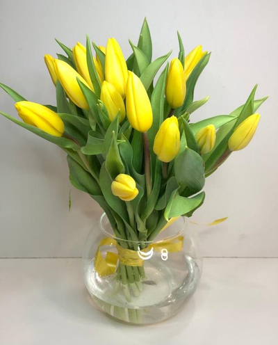 Букет из желтых/красных/белых/розовых/МИКС крупных тюльпанов 51 шт.