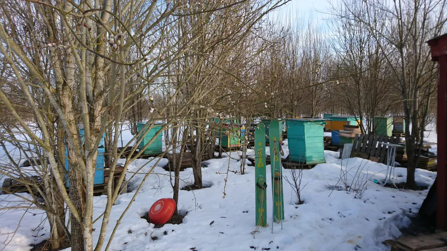 Весеннее посещение