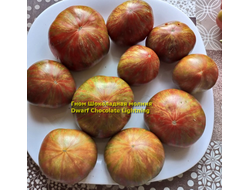 Томат Гном Шоколадная молния (Dwarf Chocolate Lightning)