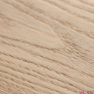 SPC ламинат FirstFloor Белый Дикий Лес 1F001 43 класс толщина 4.0 мм с фаской замковый 2.665 м2