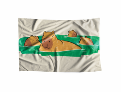 Флаг Капибара, Kapibara-san №28