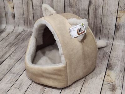 ДОМ “ПУШОК”