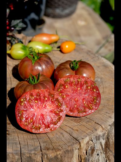 Томат Муаровый Закат, 10 шт