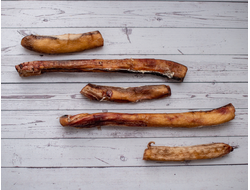 Бычий корень, 100 гр.