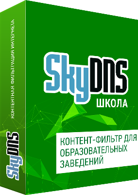 Контент-фильтрация SkyDNS Школа. 80 лицензий, подписка на 1 год ( SKY_Schl_80 )
