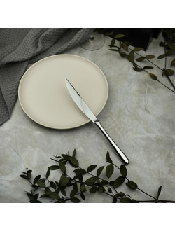 Нож десертный 21 см