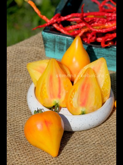 Томат Fred (Фред), 10 шт