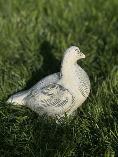 Скульптура 'Голубь'