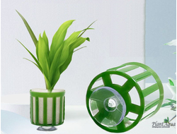 Swetaqua Pot Small - Горшочек для растения с присоской