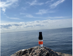 Духи НОТА: ЖЕНСКОЕ ПРИСУТСТВИЕ, 2.5 мл