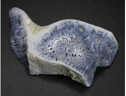 Коралл голубой Акори, Австралия (54*29*11 мм, 18 г) №37703