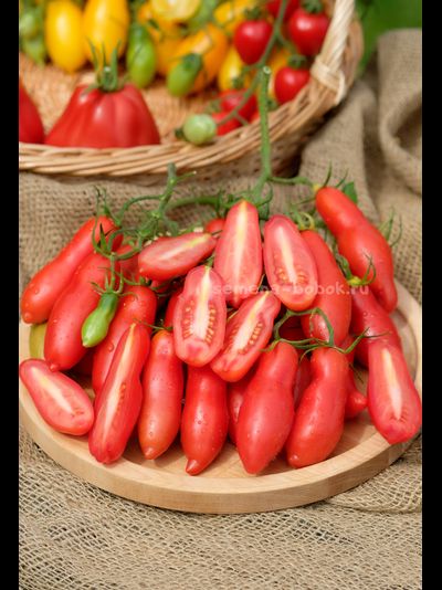 Томат Butalina di Castellamonte  (Бутылочный из Кастелламонте), 10 шт