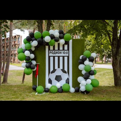 Оформление детского дня рождения в футбольном стилей "№ 1459