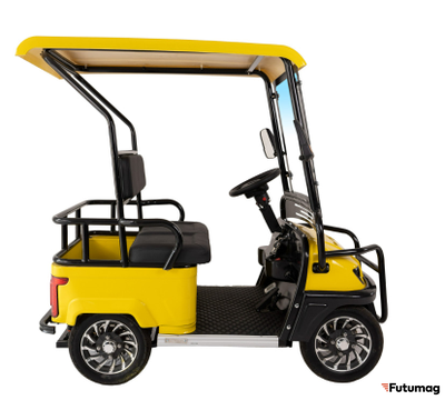Гольфкар GreenCamel A2 ECO (2 seats 800W R8) пониженная