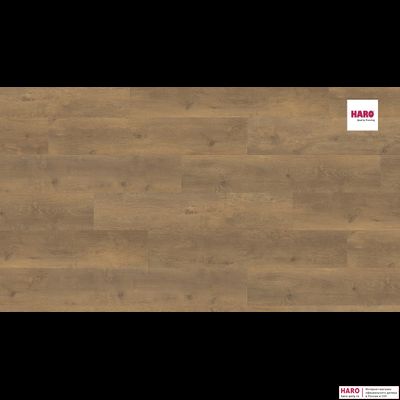 Ламинат Haro Tritty 100 Campus Дуб Бергамо Натур 538747 33 класс толщина 8 мм с фаской 2.13 м2