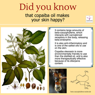Копайба, Копайский бальзам (Copaifera officinalis) Бразилия, 5 мл - 100% натуральное эфирное масло