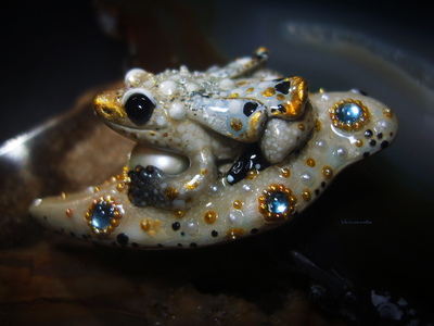 Мини-брошь с жемчугом и крылатой лягушкой "Царская бабочка, Дивная Зоренька"