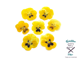 Виола обезвоженная Juicy mango - Сочный манго (плоская), 5 шт