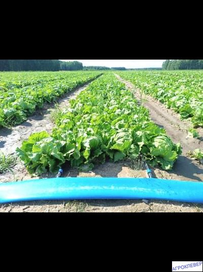 Старт коннектор Layflat х К/Л