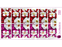 Слайдер-дизайн 255