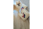 IMG-20241218-WA0003.jpeg